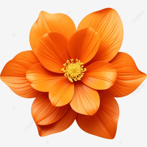 realistic beautiful orange flower illustration element orange png Digital Flowers Png, Orange Flower Background, Orange Core, Orange Png, Christian Photography, Element Illustration, Orange Logo, Transparent Image, Color Naranja