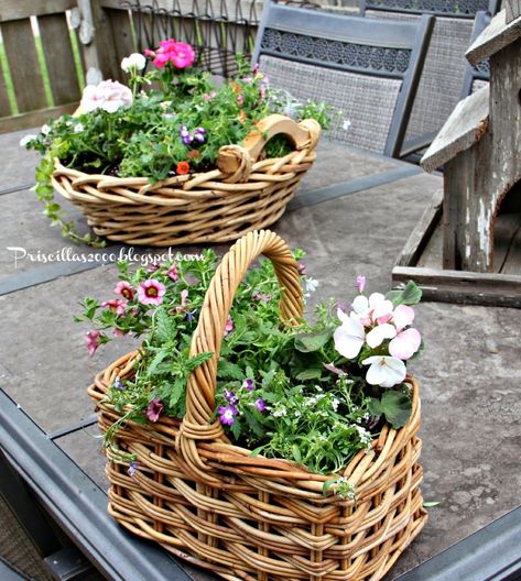 18 Beautiful Summer Projects - Echoes of Laughter Diy Flower Basket, Plant Recipes, Plants In Baskets, Summer Planter, Cane Baskets, Tanaman Pot, Garden Basket, Wicker Planter, Basket Planters