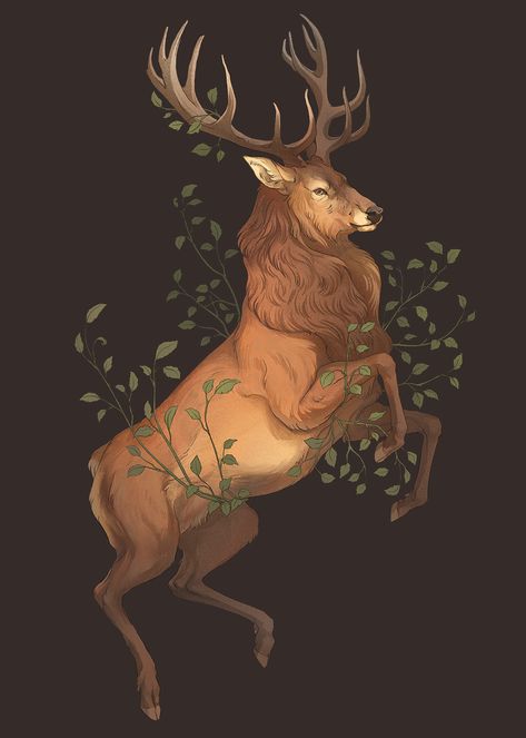 Animal Poster set on Behance Stag Symbolism, Nora Potwora, Digital Art Procreate, Deer Drawing, Drawing Digital Art, Deer Illustration, Deer Tattoo, Spirit Animal Art, Art Procreate