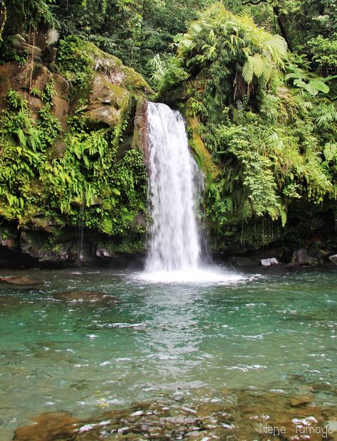 Taytay Falls Majayjay, Laguna Philippines Pagsanjan Falls Laguna, Pagsanjan Falls, Laguna Philippines, Tourist Spots, Island Life, The Great Outdoors, Philippines, Around The Worlds, Wonder