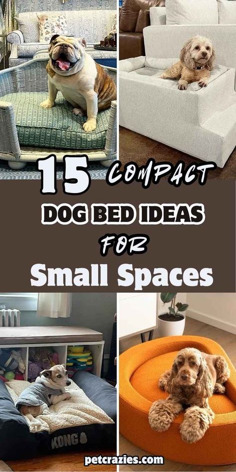 15 Dog Bed Ideas for Small Spaces that are Compact and Cozy 2 Bed With Dog Bed Attached, Contemporary Dog Bed, Creative Dog Bed, Upcycled Pet Bed, Pet Beds For Dogs, Dog Bed Ideas, Dog Bed Modern, Round Dog Bed, Dog Corner