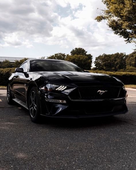 Shadow black 😱  #regram via @kng.pn Black Car Mustang, Nice Black Cars, Black Mustang Aesthetic, Mustang Cars Black, All Black Mustang, Black Sports Cars, Black Mustang Car, Mustang Gt Black, Black Ford Mustang