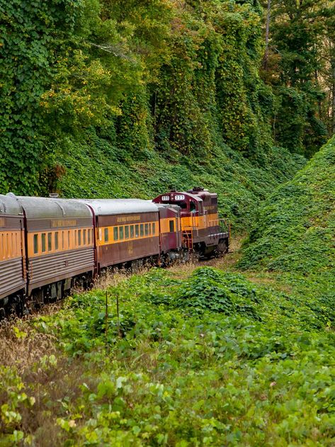 13 Southern train rides you need to take if you really, really love trains - It's a Southern Thing Southern Trains, Dinner Train, Railroad Industry, Company Town, Scenic Railroads, Train Tour, Eureka Springs, Heritage Museum, Scenic View