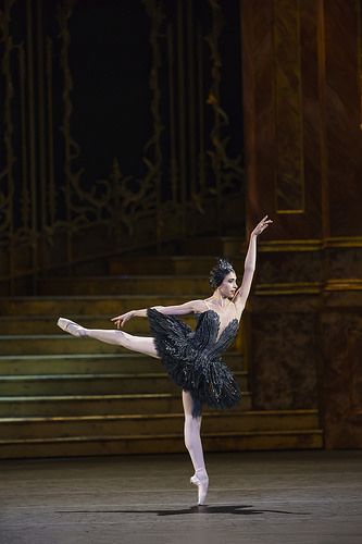 Yasmine Naghdi, Royal Ballet School, Swan Lake Ballet, Ballet Images, The Royal Ballet, Alvin Ailey, Ballet Inspiration, Ballet Art, Ballet Photos