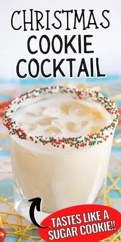 Christmas Cookie Cocktail Recipe Frozen Holiday Drinks, Christmas Food Crockpot, Sugar Cookie Martini With Rumchata, Drinks Made With Vanilla Vodka, Vodka Based Christmas Cocktails, Christmas Drink With Vodka, Christmas Party Food Gluten Free, Christmas Cocktails Easy Vodka, Tippy Cow Recipes Drinks