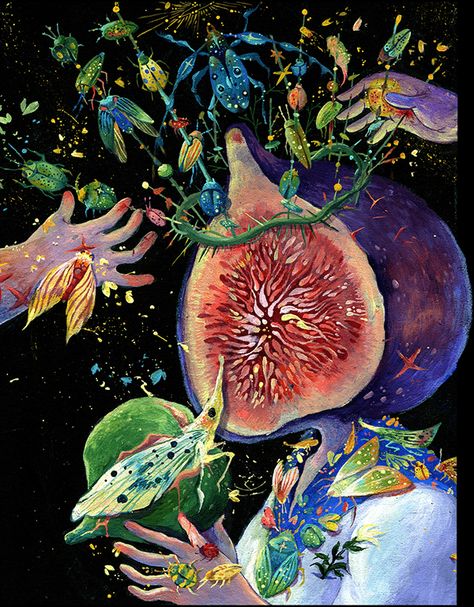 The fig boys X the Moths on Behance Fig Illustration, Fig Painting, Fig Art, Fig Drawing, Magical Fruit, Acrylic Gouache, Fruit Illustration, Arte Inspo, Illustration Painting