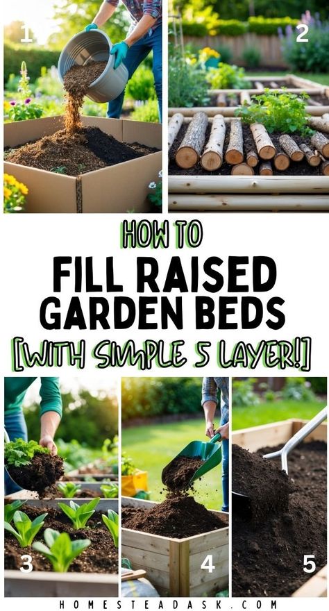 How To Fill Raised Garden Beds - [With Simple 5 Layer!] 1 Layering Garden Beds, Recycled Garden Edging, Backyard Herb Garden, Grow Your Own Vegetables, Garden Bench Diy, Small Patio Garden, Landscaping Inspiration, Diy Raised Garden, Raised Garden Beds Diy