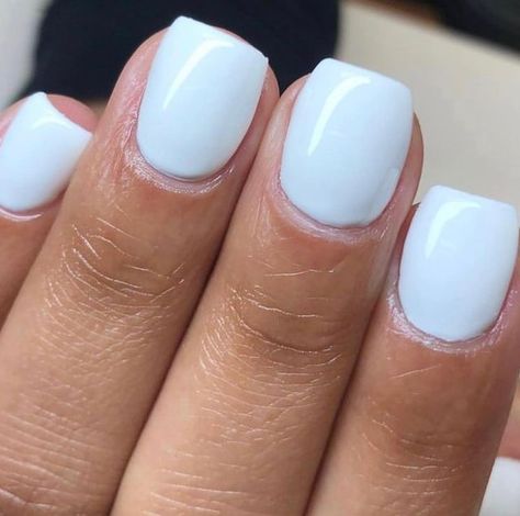 DND Gel Community on Instagram: "Which white gel polish color is your favorite? 😍 French Tip DND473 White Fur DC161 Snowflake DND448 White Bunny DC057" Cnd Nails, Builder Gel Nails, Band Nails, Dnd Gel Polish, Powder Nail Polish, Gel Tips, Gel Polish Colors, Essie Nail Polish, Essie Nail