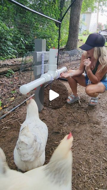 Homemade Chicken Waterer, Diy Chicken Waterer, Chicken Watering System, Katie Williams, Chicken Waterer Diy, Chicken Coups, Training Chickens, Chickens In The Winter, Chicken Waterer