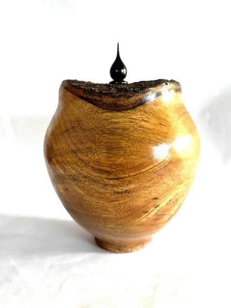 Mahogany Tree, Bark Edge, Tree Logs, Hollow Form, Turning Projects, Wood Turning Projects, Delray Beach, Fine Woodworking, Wood Bowls