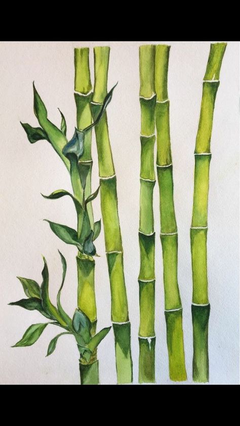 Bamboo Drawing, Bamboo Plant, Nature Art Prints, Bamboo Art, Wall Painting Decor, Canvas For Beginners, Plant Painting, Plant Drawing, Watercolor Art Lessons