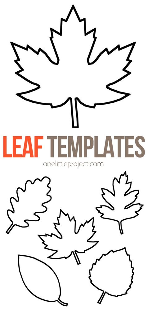 More than 20 free printable fall leaf template pages to use for fall crafts and activities. Use the leaf outline as a pattern or stencil, or color and decorate them. Great leaf shapes to use for kids crafts! Leaf Man Craft, Fall Leaves Template Free Printable, Autumnal Crafts, Leaves Template Free Printable, Leaf Template Printable, Fall Leaf Template, Leaf Templates, Halloween Template, Printable Leaves