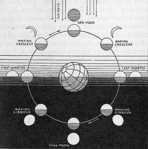 Moon Chart, Moon Circle, Moon Graphic, Lunar Calendar, Moon Cycles, Space Science, Moon Child, Black Vinyl, Moon Phases