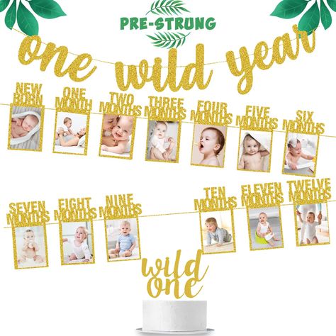 One Wild Year, Wild One Birthday Decorations, First Birthday Decorations Girl, 1st Birthday Photo, Picture Banner, First Birthday Cake Topper, Birthday Photo Banner, Wild One Birthday, Girl Birthday Decorations