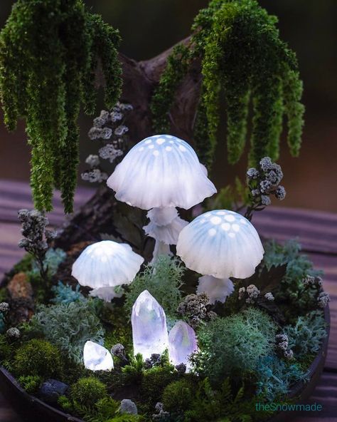 Fairy forest homedecor mushroom lamp with 3 glowing fungi and flowers under mossy tree Glowing Fungi, Forest Room Decor, Fairy Mushrooms, Fairy Night Light, Mossy Tree, Forest Mushrooms, Glowing Mushrooms, Fairy House Crafts, Cottage Core Decor