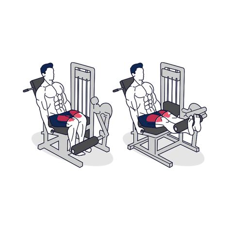 Leg Extension Machine, Leg Extensions Workout, Hip Abduction, Leg Curl Machine, Seated Leg Curl, Leg Extension, Leg Curl, Leg Extensions, Calf Raises