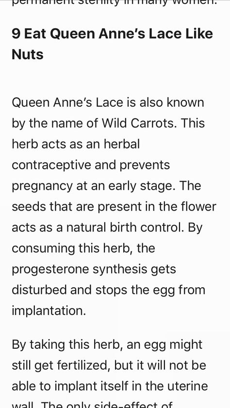 Herbal Birth Control, Herbal Contraceptive, Queen Annes Lace, Pregnancy Stages, Natural Birth, Living Things, Birth Control, Survival Skills, Green Thumb