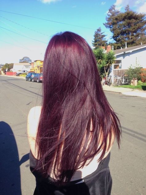 Hair Inspo Color Cool Tone, Plum Hair Aesthetic, Purple Maroon Hair, Colors To Dye Hair, Cherry Purple Hair, Purple Tinted Hair, Red Violet Hair Color, Dark Purple Hair, Purple Ombre Hair