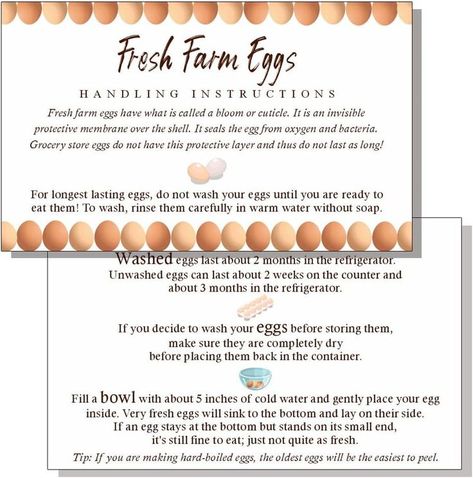 MAOSH Fresh Farm Eggs Handling Instructions, Egg Handling Instructions for Farm Fresh Eggs, 50 Pack 2x3.5'' inches Business Card, Egg Handling Instruction Card, White Card with Colored Egg Design Egg Handling Instructions, Egg Design, Farm Eggs, Farm Fresh Eggs, Buffalo Chicken Dip, Egg Designs, Coloring Eggs, Fresh Eggs, Farm Fresh