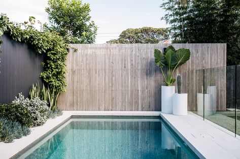 Fences Around Pools Ideas, Small Plunge Pools For Small Yards, Pool Area Ideas, Small Pool Design Ideas, Pool Fencing Landscaping, Pool Garden Design, Small Pool Ideas, Garden Pool Design, Pool Plants