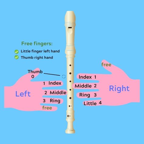 Homeschool Music Lessons, Recorder Fingering Chart, Recorder Lessons, Flute Recorder, Flute Lessons, Recorder Songs, Flute Instrument, Music Letters, Homeschool Music