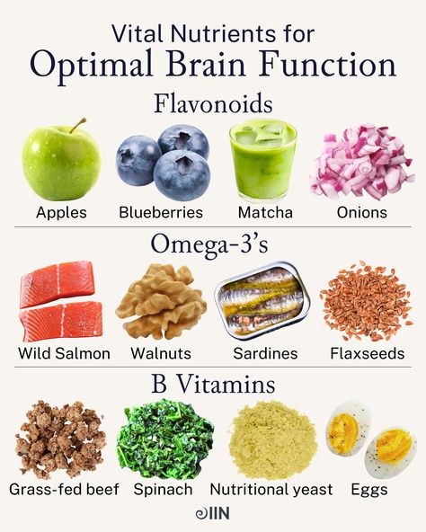 Get a brain boost with every bite. 🍏 Learn more about food as medicine, the power of personalized nutrition, nutrition science and more in IIN's Nutrition for Life course!⁠  Educate yourself on #flavonoids, #omega3s, #bvitamins, and so much more.   Click the link to learn more.  #brainhealth #brainfood #healthychoices #healthandwellness #nutrition #diet #flax #matcha #sardines #grassfed #nutritionalyeast Nutrition Learning, Health Tricks, Food Thoughts, Food As Medicine, Tea Remedies, Skin Diet, Food Health Benefits, Healthy Hormones, Nutrition Science