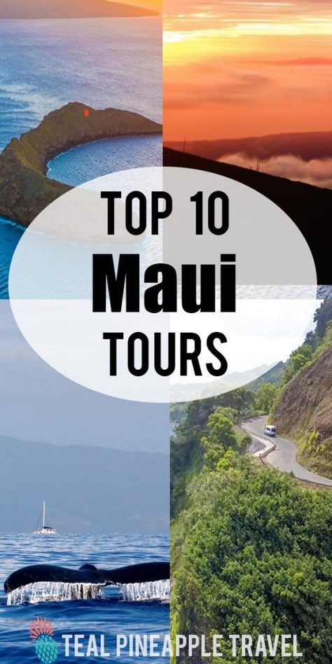 Looking for things to do on Maui? Here are the 10 best Maui tours. From snorkeling Molokini Crater, to flying over the jungle on a zipline, there are so many fun Maui activities. #bestmauitours #thingstodoonmaui #thingstodoinmaui #mauitravelagent #hawaiitravelagent #mauivacationideas #hawaiitraveltips #mauivacation #mauithingstodo Molokini Crater, Haleakala Sunrise, Best Beaches In Maui, Maui Tours, Maui Honeymoon, Hawaiian Life, Maui Snorkeling, Maui Itinerary, Maui Activities