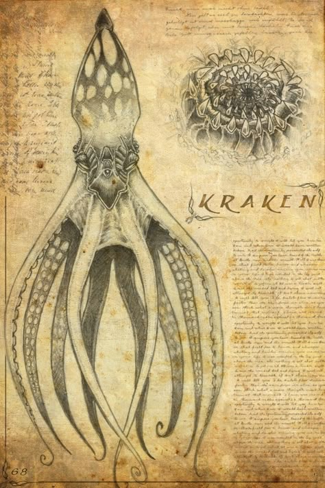 Kraken by night--wind Magical Creatures Mythology, Mystical Creatures Mythology, Fantasy Creatures Mythology, Creaturi Mitice, Creature Fantasy, Myths & Monsters, Personaje Fantasy, Mythical Monsters, Legends And Myths