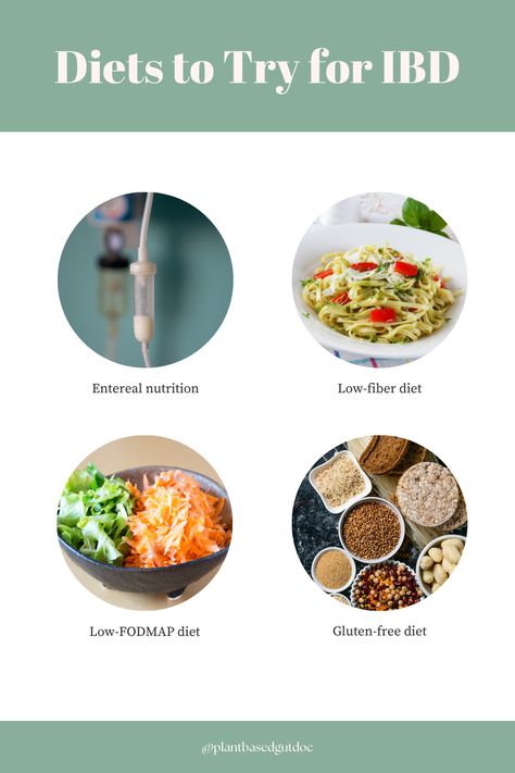 Ibd Diet, Healing Lifestyle, Health Meal Prep, Low Fiber Diet, Scd Diet, Gut Healing Recipes, Fiber Diet, Low Fodmap Diet, Plant Based Nutrition