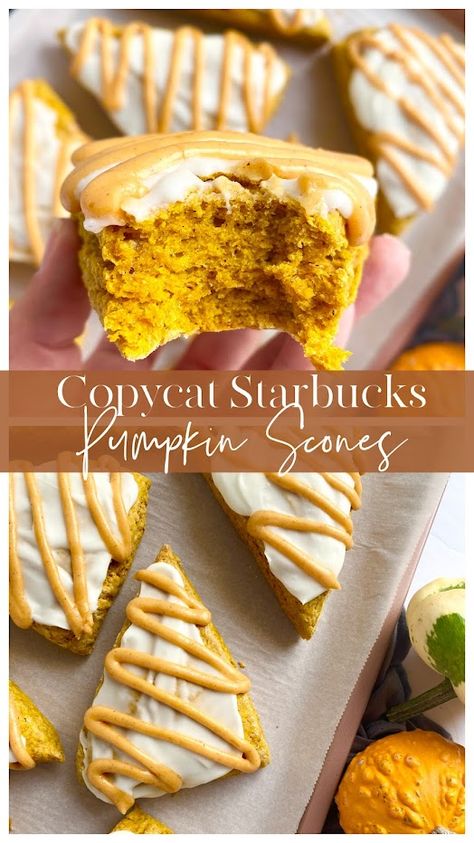 Copycat Starbucks Pumpin Scones Pumpkin Scones Starbucks, Starbucks Pumpkin Scones, Gingerbread Scones, Pumpkin Scones Recipe, Copycat Starbucks, Pumpkin Scones, Starbucks Pumpkin, Starbucks Copycat, Sweet Breads