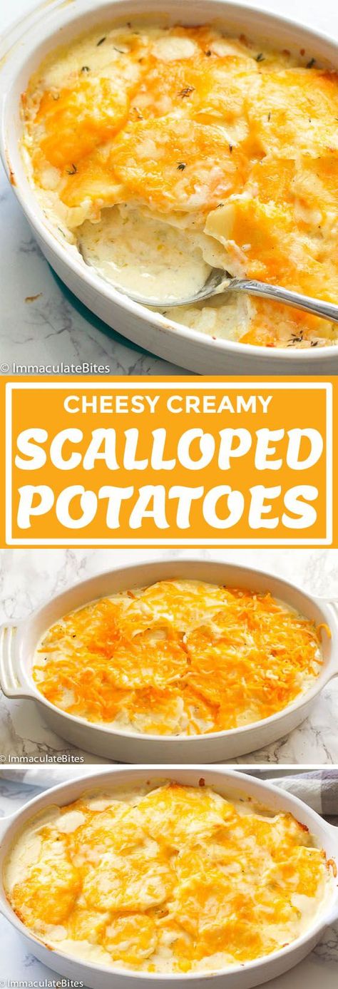 Easy Cheesy Potatoes, Recipes With Potatoes, Scalloped Potatoes With Bacon, Potatoes Scalloped, Creamy Casserole, Gross Stuff, Creamy Scalloped Potatoes, Scalloped Potatoes Easy, Scalloped Potatoes And Ham