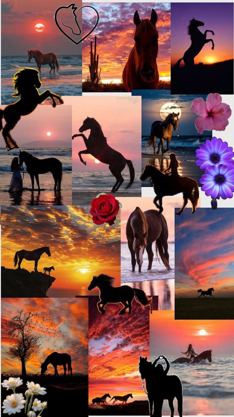 Horse Riding Wallpaper Iphone, Horse Wallpaper For Ipad, Cute Horses Aesthetic, Horse Riding Wallpaper, Cute Horse Wallpapers, Horses Sunset, Horse Collage, Aesthetic Horses, Horse Wallpapers