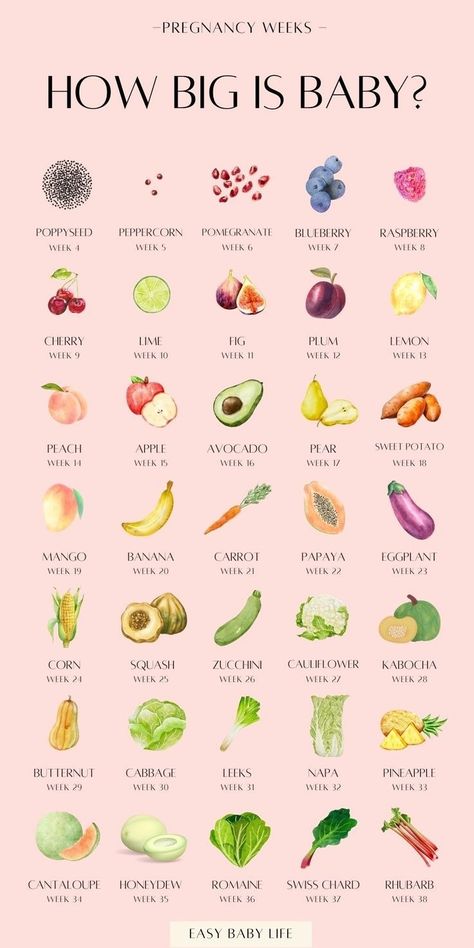 Planning on getting pregnant, or maybe already a pregnant new mom? Learn all about pregnancy week by week and see baby size by week during all three trimesters of pregnancy with this pregnancy chart! Through each of the pregnancy stages, you can check out how big baby is and which fruit they’re most likely the size of! Also find pregnancy tips and facts for all pregnancy weeks. Perfect pregnancy guide for early pregnancy until birth. Pregnancy Documentation Ideas, Pregnancy Tips For New Moms, Pregnancy Fruit, Baby Size By Week, Pregnancy Weeks, 9 Weeks Pregnant, 17 Weeks Pregnant, Pregnancy Chart, 11 Weeks Pregnant