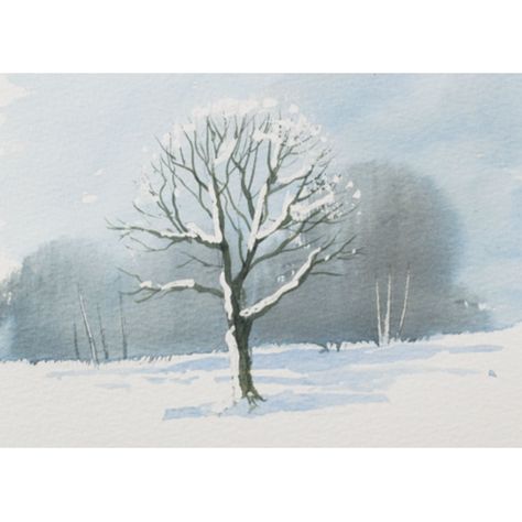 Snow On Trees Painting, Snow Tree Drawing, Winter Tree Drawing, Winter Trees Painting, How To Draw Snow, Terry Harrison, Oak Tree Drawings, Paint Snow, Plant Drawings