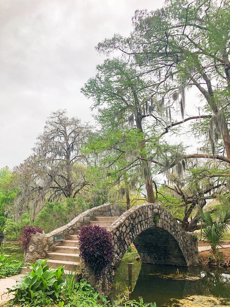 Langles Bridge in City Park Audubon Park New Orleans, City Park New Orleans Photography, New Orleans Park, New Orleans Photoshoot, New Orleans Landscape, Nola Elopement, New Orleans Aesthetic, New Orleans Bayou, Garden District New Orleans