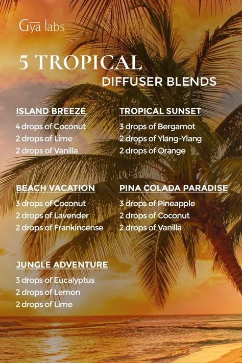 Coconut Essential Oil Diffuser Blends, Tropical Diffuser Blends, Tropical Essential Oil Blend, Coconut Diffuser Blend, Coconut Essential Oil Blends, Summer Diffuser Blends, Coconut Essential Oil, Essential Oil Perfumes Recipes, Essential Oil Combinations