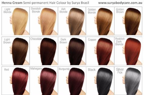 Shades Eq Color Chart, Brown Hair Chart, Level 6 Hair Color, Butterscotch Hair Color, Red Hair Color Chart, Hair Diagram, Elumen Hair Color, Demi Hair Color, Hair Color Names