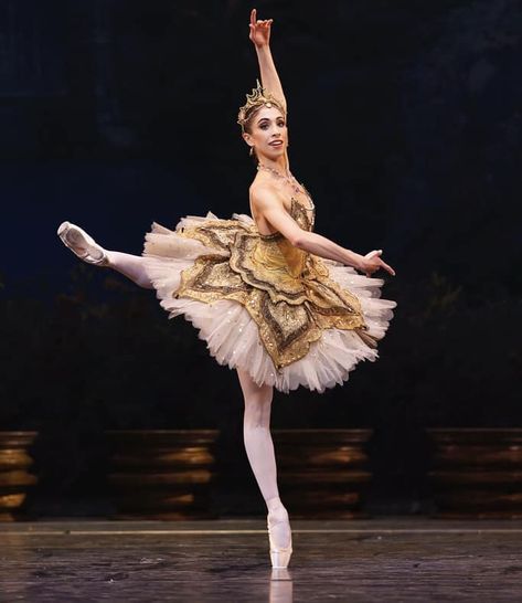 Royal Ballet Principal Yasmine Naghdi Yasmine Naghdi, Ballet Stuff, Ballet Images, The Royal Ballet, Over The, Royal Ballet, All Over, Safe Place, Fan Page