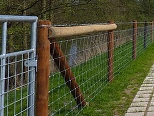 Welded Wire Fencing for Sheep: Costs Sheep Fencing Ideas, Sheep Fence Ideas, Bison Farming, Sheep Fencing, Keeping Sheep, Boundary Fence, Sheep Shelter, Solar Electric Fence, Sheep Fence