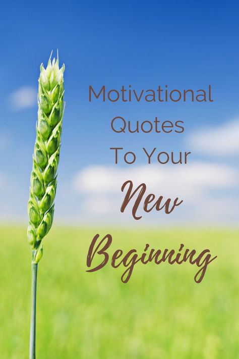 New Beginning Birthday Quotes, New Day New Beginning Quotes Fresh Start, Words For New Beginnings, A New Journey Begins Quotes, Motivational Quotes For Starting Over, Excited For New Beginnings Quotes, New Home Quotes Inspiration, Inspirational Quotes About New Beginning, Losing A Job Quotes Inspiration