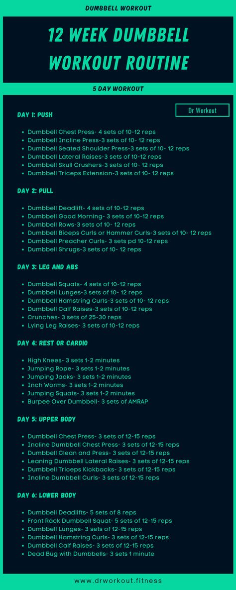 12 Week Dumbbell Workout Routine 12 Week At Home Workout Plan, 12 Week Exercise Plan For Women, Quick Weight Workout, 12 Weeks Workout Plan, Dumbbell Workout Split Women, Dr Workout Women, Jaime Eason 12 Week Program, Dumbbell Only Workout Split, Weight Circuit For Women