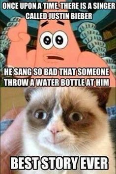 Grump Cat, Grumpy Cat Memes, Grumpy Cat Meme, Grumpy Cat Quotes, Cele Mai Drăguțe Animale, Cat Jokes, 9gag Funny, Cute Animal Memes, Meme Comics