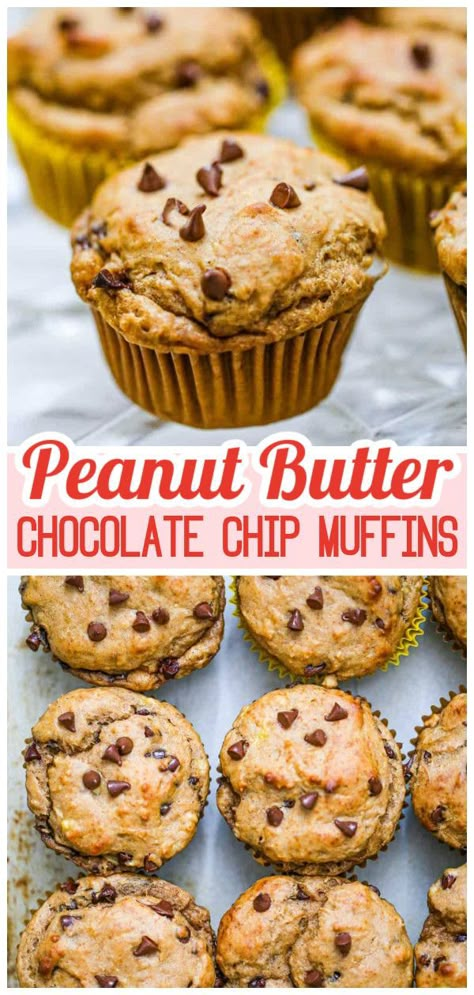 Who doesn't love a good homemade chocolate chip muffins? Especially one made with delicious peanut butter. These easy peanut butter muffins are the perfect treat to indulge in. Our recipe for Peanut Butter Muffins is a classic combination of peanut butter and chocolate chips, sure to please any and all peanut butter lovers out there. So don't wait and get baking! Peanut Butter Choc Chip Muffins, Chocolate Chip Peanut Butter Banana Muffins, Healthy Peanut Butter Muffins, Peanut Butter Muffins Easy, Pb2 Muffins, Peanut Butter Chocolate Muffins, Banana Peanut Butter Muffins, Peanut Butter Muffins Recipes, Muffin Monday