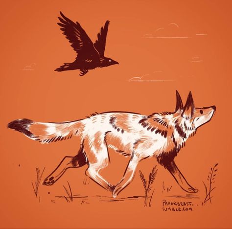 A Wolf, A Drawing, Fox, Running, Orange, Tattoos