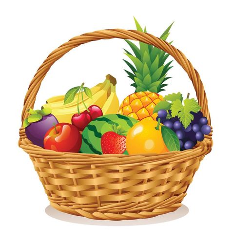 Fruit Basket Drawing, Basket With Fruits, Fruits Vector, Fruits Illustration, Games For Kids Classroom, Fruit Clipart, Basket Drawing, Fruits Drawing, Fruit Vector