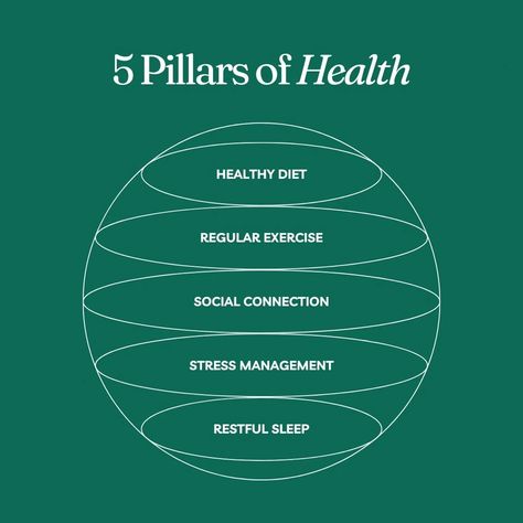 Building a Strong Foundation: The 5 Pillars of Health 🏋️♀️🌟 ⠀ ⠀ 🥦 Healthy Diet: Nourish your body with wholesome foods that fuel your vitality. 🏃♀️ Regular Exercise: Keep your body moving to energize both body and mind. 🤝 Social Connection: Cultivate meaningful relationships for heartwarming support. 😌 Stress Management: Embrace techniques to discover calm within life's turbulence. 🛌 Restful Sleep: Let your body recharge, embracing the power of... Health And Longevity, Hormone Cycling, Booklet Ideas, Pillars Of Health, Social Connection, 5 Pillars, Balanced Living, Infographic Design Inspiration, Meaningful Relationships