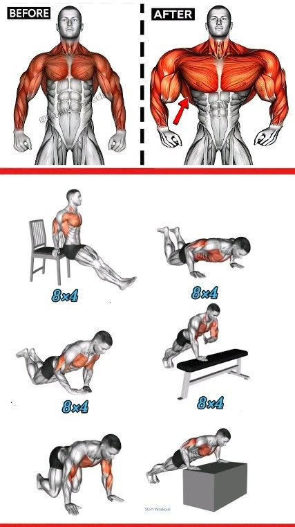 Fit Max | TOP LEVEL Lower ABS Workout at Home !💪✅ . . No ©Copyright infringement intended Email (contact) Us to fix/remove. . . . #fatloss #fitness … | Instagram Bodyweight Back Workout, Chest Workout For Men, Chest Workout At Home, Best Gym Workout, Best Chest Workout, Latihan Kardio, Bodybuilding Workout Plan, Gym Workout Chart, Workout Routine For Men