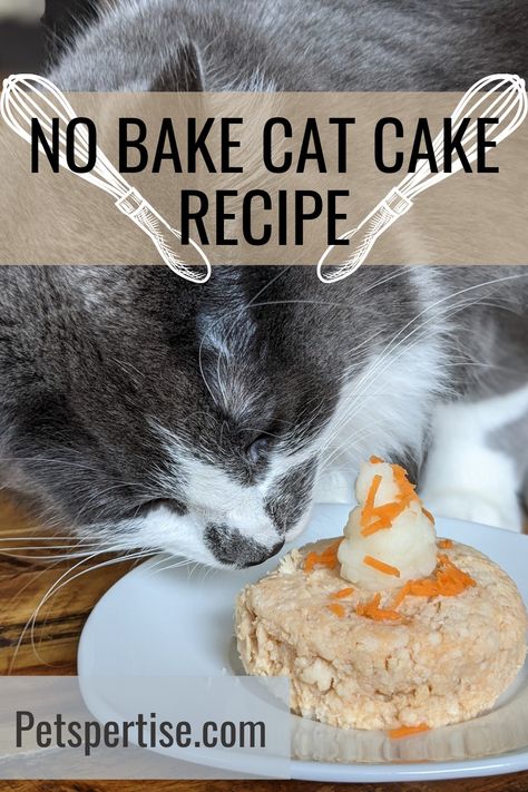 Cat Safe Cake Recipe, Cat Birthday Cake Recipe, Cat Friendly Cake Recipes, Cakes For Cats To Eat, Homemade Cat Cake, Birthday For Cat Pets, Cat Safe Cake, Cat Safe Birthday Cake, Cake For A Cat