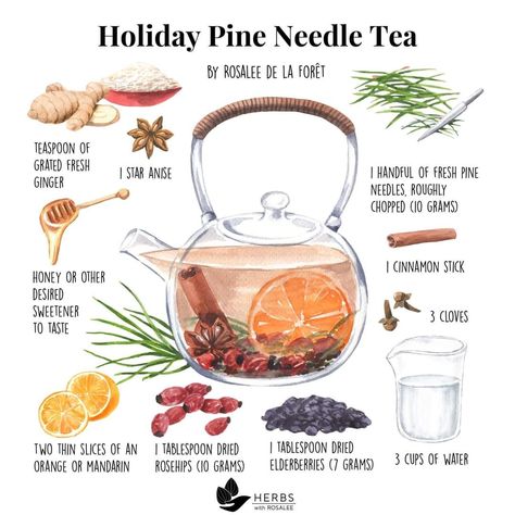 Pine Needle Tea, Tea Blends Recipes, White Blood Cell, Medicinal Tea, Medicinal Garden, Healing Tea, Homemade Tea, Herbal Teas Recipes, Chest Congestion