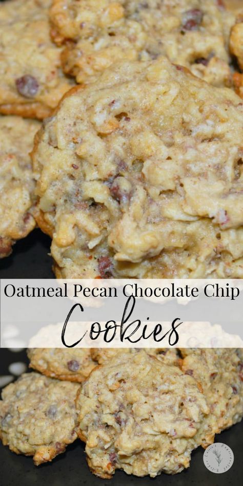 Oatmeal Chocolate Chip Coconut Pecan Cookies, Oatmeal Chocolate Chip Pecan Cookies, Holiday Oatmeal, Oatmeal Pecan Cookies, Brownies Coconut, Pecan Chocolate Chip Cookies, Plating Food, Cookies Oatmeal, Presentation Food